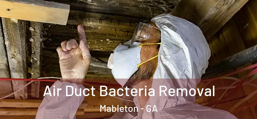  Air Duct Bacteria Removal Mableton - GA