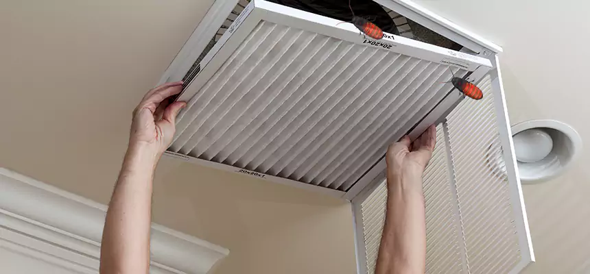 Our Insect Removal from Air Ducts Services in Mableton, GA