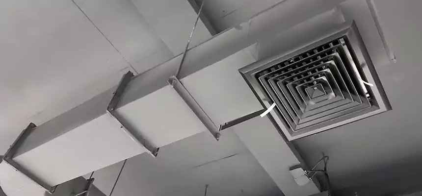 Our Pest Removal From Ducts Services in Mableton, GA