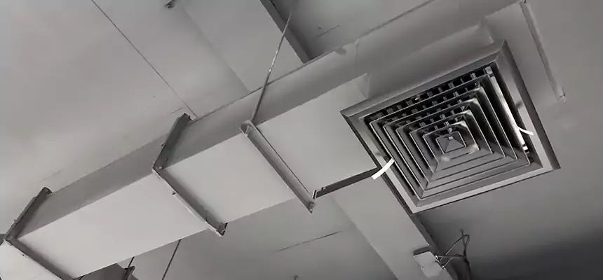 Our Rodent Droppings In Vents Services in Mableton, GA