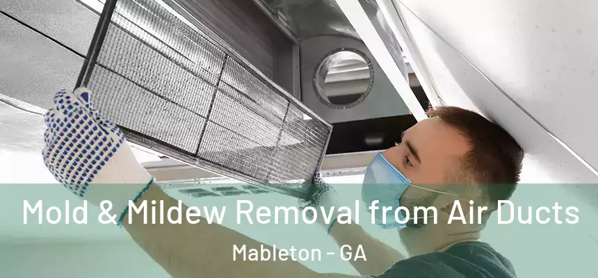  Mold & Mildew Removal from Air Ducts Mableton - GA