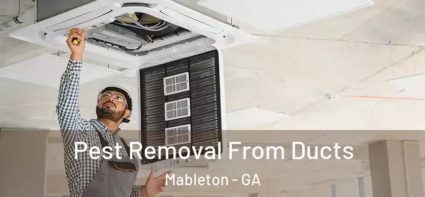  Pest Removal From Ducts Mableton - GA