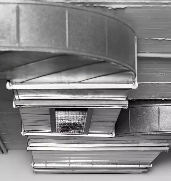 Professional Air Duct Pet Hair Removal in Mableton, GA