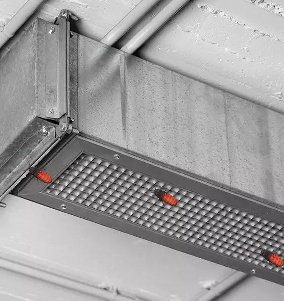 Affordable Insect Removal from Air Ducts in Mableton, GA