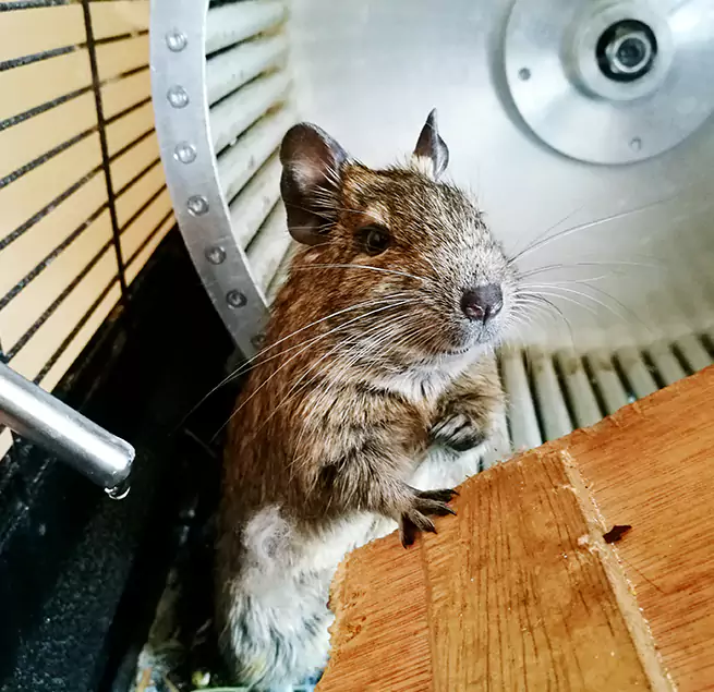 Why Homeowners & Businesses Trust Us Mableton, GA?