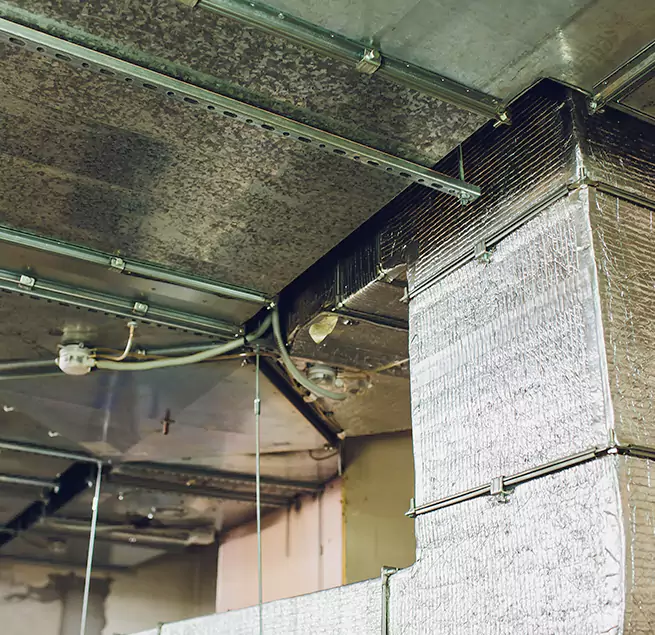 Why Homeowners & Businesses Trust Us in Mableton, GA?